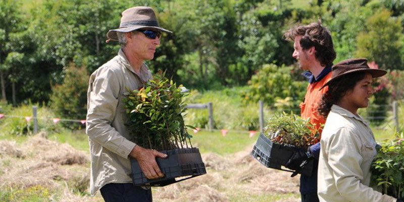 Zero Emissions Byron Bay Planting Trees