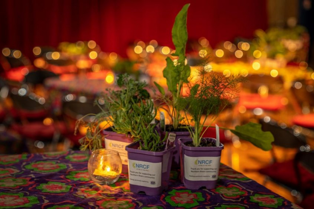 NRCF Grant Giving Event 2020