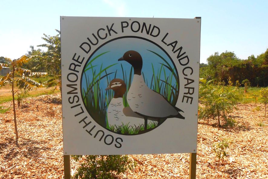 South Lismore Duck Pond Landcare - Mini-Beasts Festival